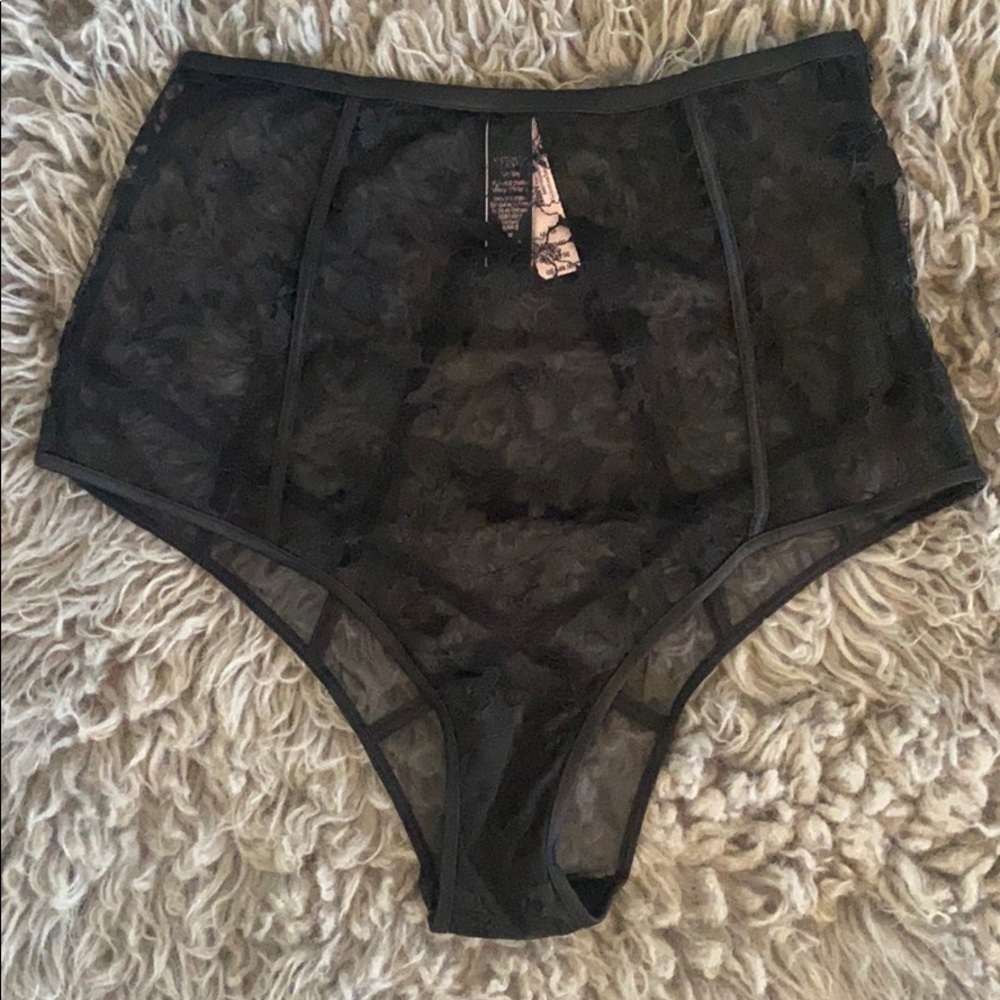 Victoria’s Secret LUXE LINGERIE Embroidered Cheeky Panty NWT - Picture 5 of 7